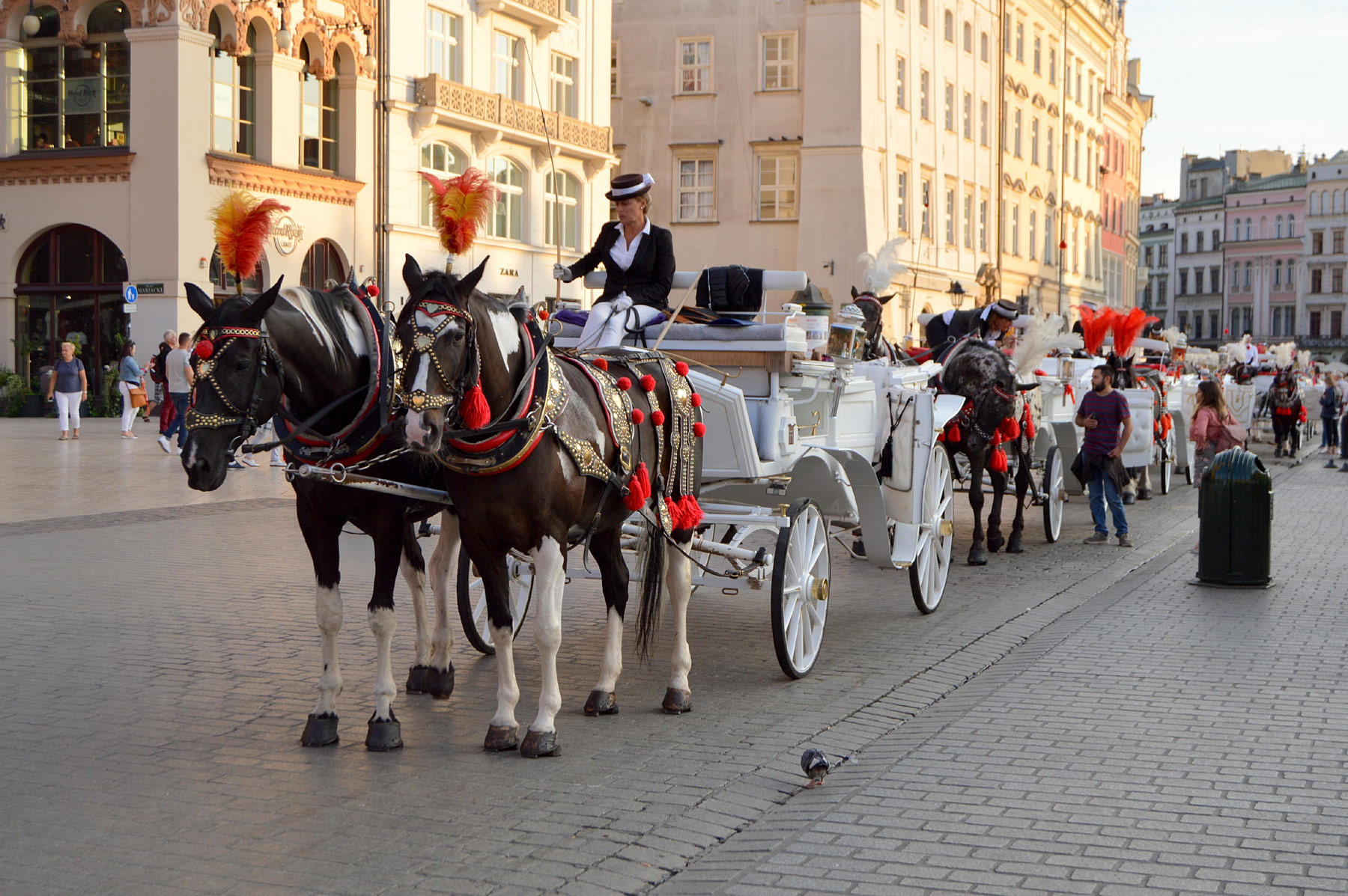 Krakow
